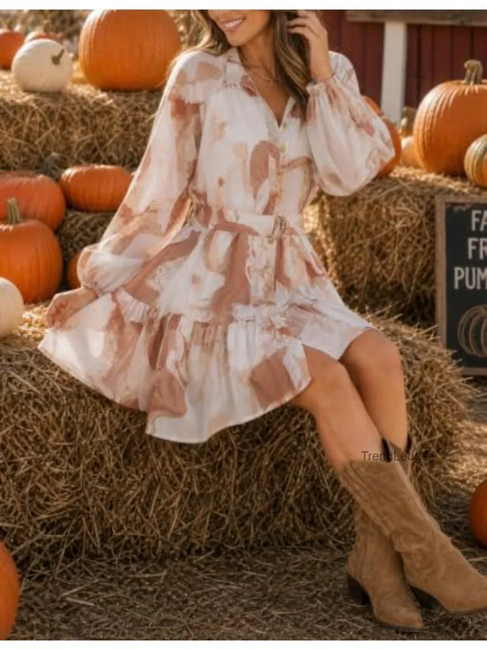 Floral Mini Dress Women Long Sleeve Chiffon Button Down A-line Swing Dress